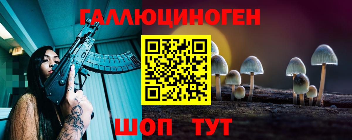 Псилоцибиновые грибы Psilocybine cubensis Заводоуковск